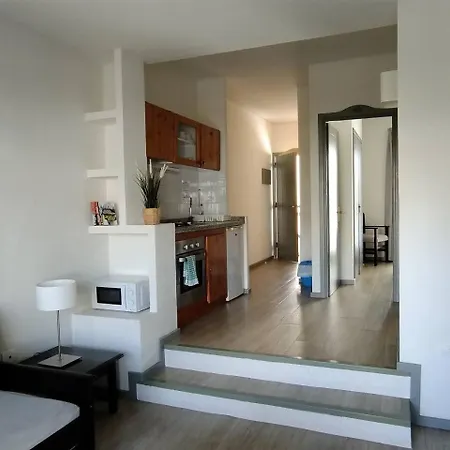 Flowers Playa De Cristianos Apartment Los Cristianos (Tenerife)