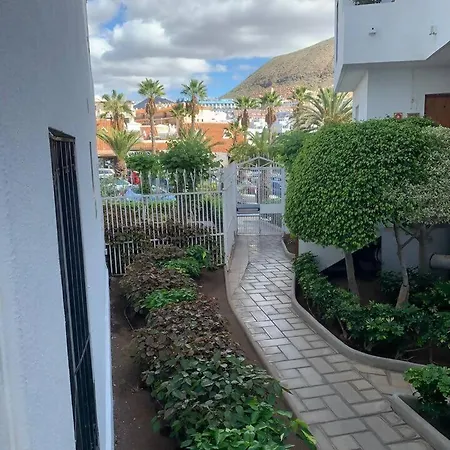 Flowers Playa De Cristianos