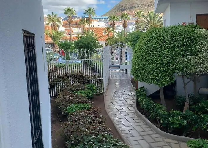 Flowers Playa De Cristianos