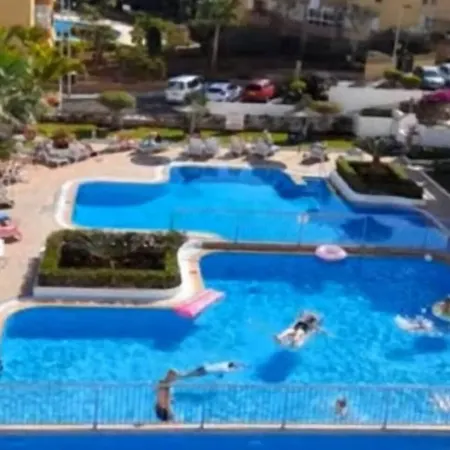 Flowers Playa De Cristianos Los Cristianos (Tenerife)